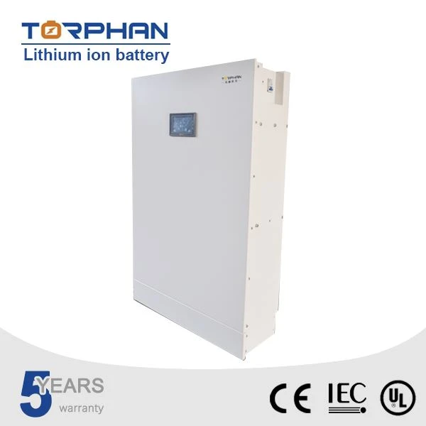 Batterie LiFePO4 Bms Lithium